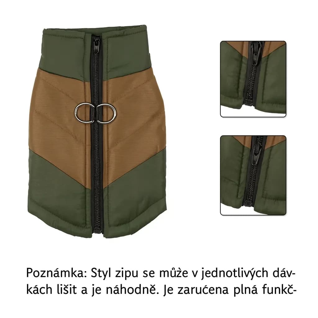 ChatGPT (55)