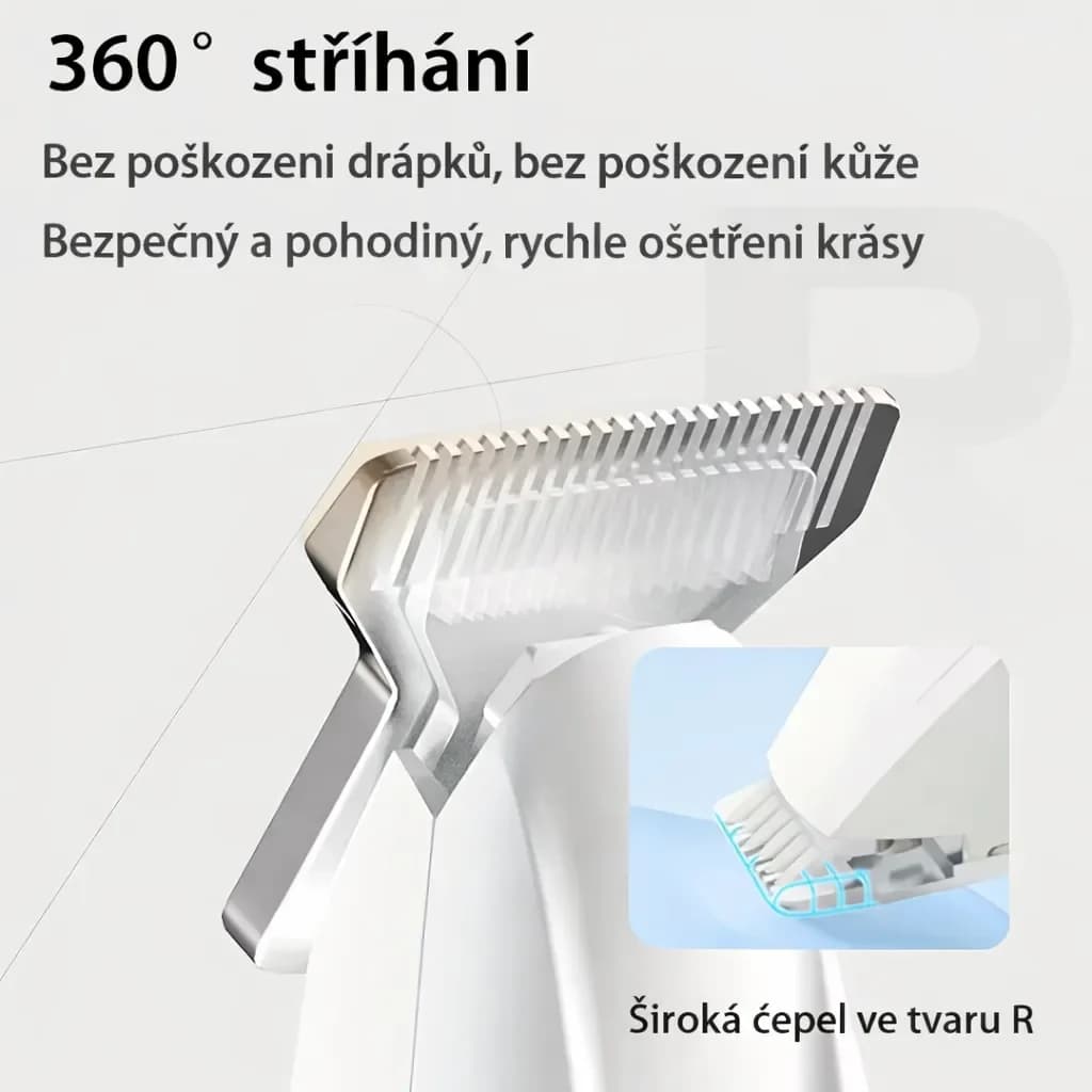 ChatGPT (65)