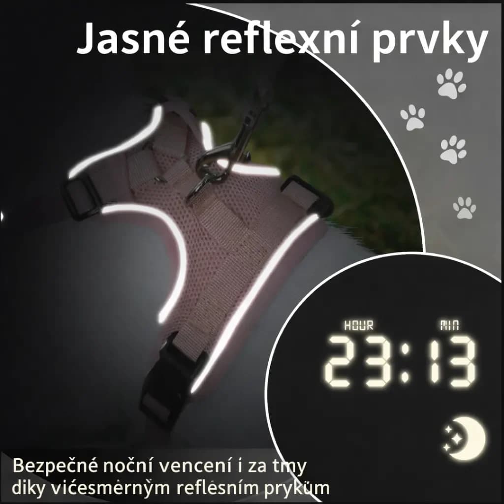ChatGPT (77)