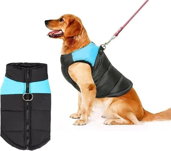 Shinmax nepromokavá zimní bunda pro psy, zelená, velikost 5XL