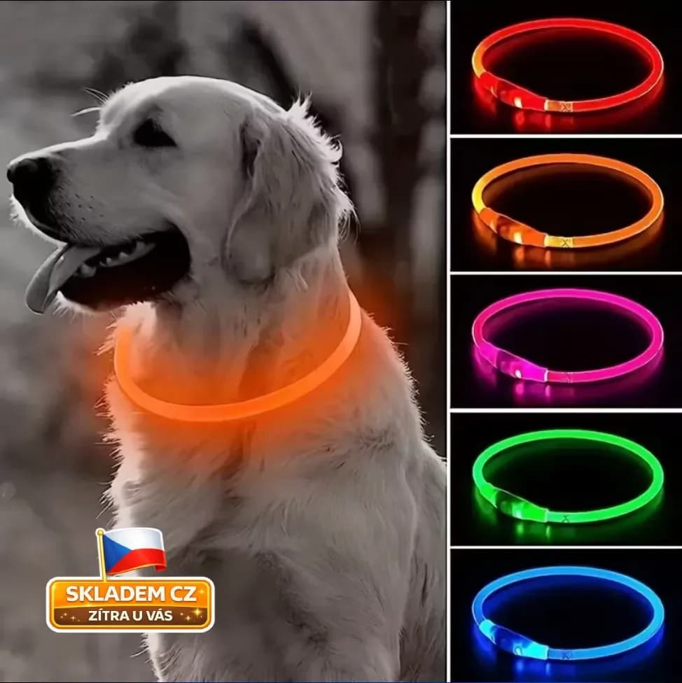 LED obojek pro psy, svítící, USB nabíjení, 3 režimy, nastavitelný